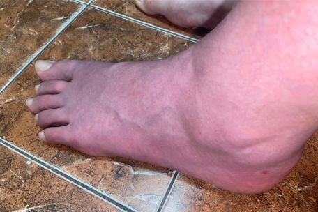 Fyzioklinika obrázek 1