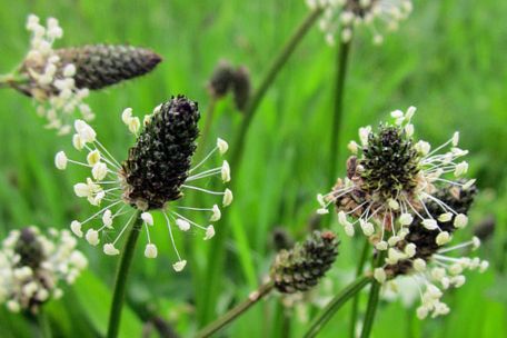 Fyzioklinika obrázek 4