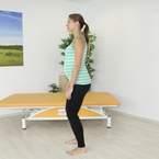 Pozice z Alexandrovy techniky - poloha opice